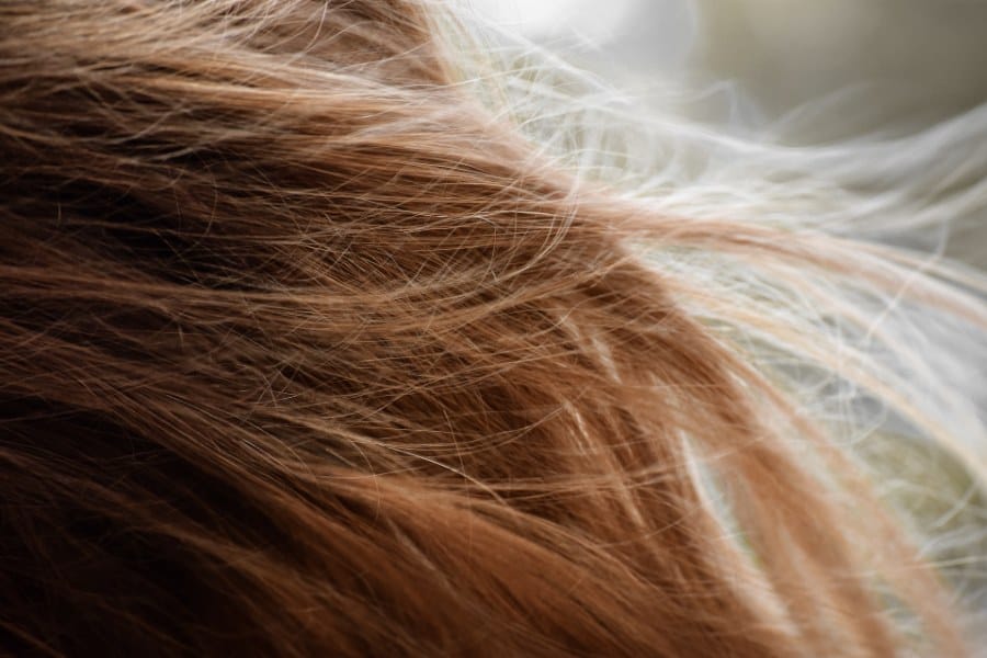 How to Tell If Your Hair Is Healthy